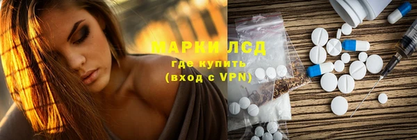мяу мяу мука Аркадак