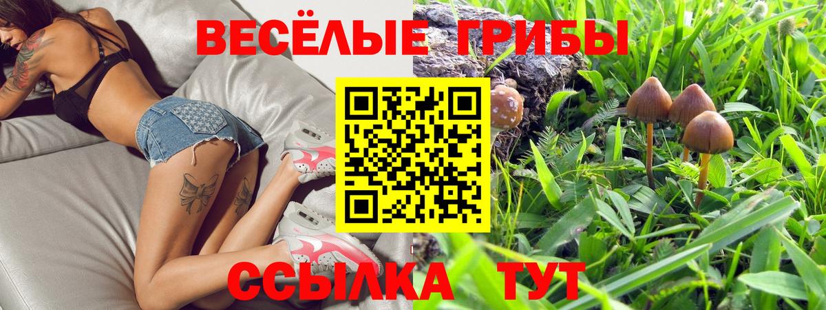 Псилоцибиновые грибы мухоморы Чайковский