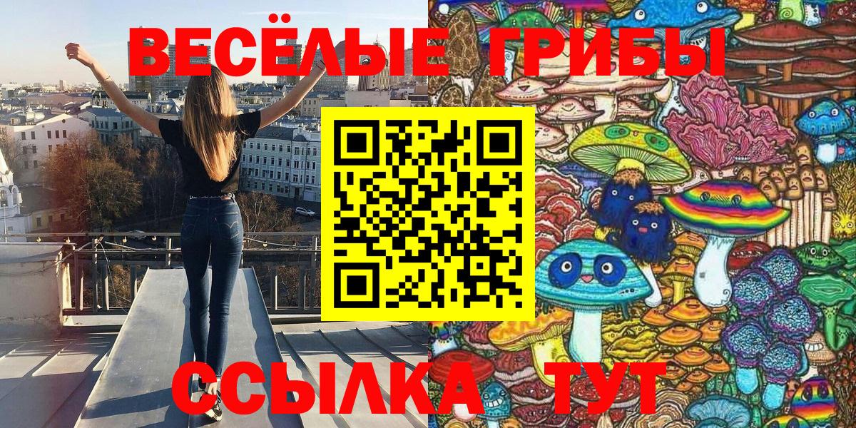 Чайковский  Псилоцибиновые грибы мухоморы  Галлюциногенные грибы GOLDEN TEACHER  Вход с VPN 